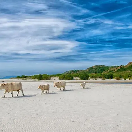 Nell'oasi Di Sardegna * Siniscola